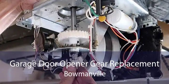 Garage Door Opener Gear Replacement Bowmanville