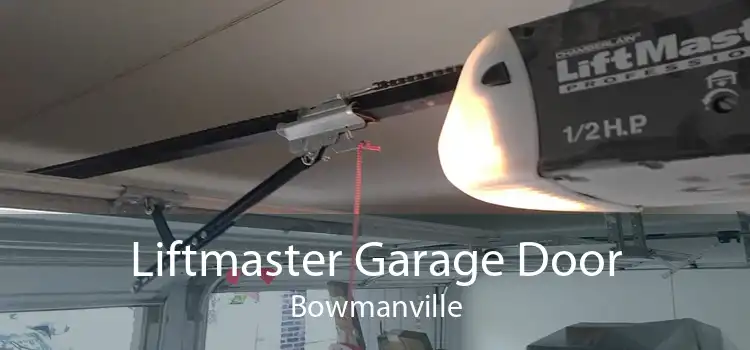 Liftmaster Garage Door Bowmanville